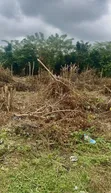 557sqm Residential Land for Sale, Moniya - 1