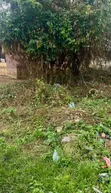 557sqm Residential Land for Sale, Moniya - 3