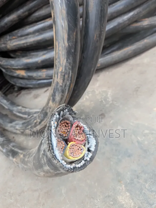 Armored Cable 4 Core - 1