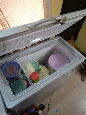 Skyrun Freezer 200L Kirji