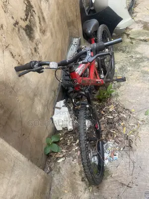 Tokunbo Bicycle - Red
