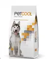 Dog & Cat Booster Abinci - 2
