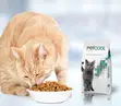 Dog & Cat Booster Abinci - 3