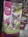 Dog & Cat Booster Abinci - 4
