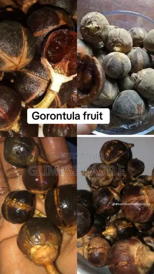Gorontula Fruit & Syrup