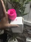 Rose Vibrator ga Mata - 2