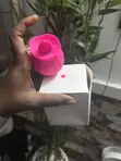 Rose Vibrator ga Mata - 3
