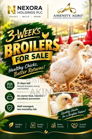 3-Week-Old Starter Agrited Broilers (Ross 308) - Ado Ekiti