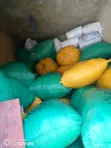 Industrial Cutting Saw - 2