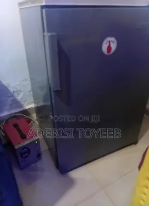 Polystar Mini Freezer with Stabilizer