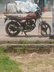 Qlink XP 200 2022 Babur - 1