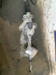 Used Steering Rack for Toyota Camry - 5