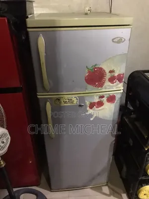 Haier Thermocool Double Door Refrigerator