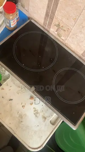 Lec Dual Electric Hotplate Mai Amfani