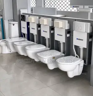 Geberit Wall-Hung Water Closet
