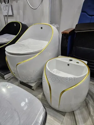 New Model Executive Inbuilt Tank WC with Hanging Basin
