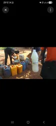 Fresh Palm Wine - 3