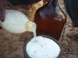 Fresh Palm Wine - 4