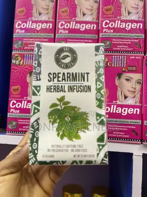 Spearmint Herbal Infusion Tea