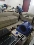 Sabis na Wanke Sofo na Kwararru - 2