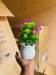 Mini Artificial Flowers a Cikin Tukunya - 2