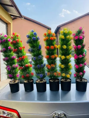 Affordable Artificial Plant with Pot (Abuja Delivery)