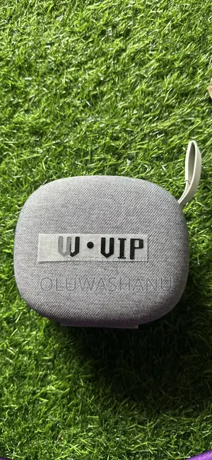 W.VIP-01 Mai Ɗaukar Waƙoƙi ta Bluetooth