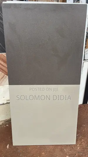 Goodwill 60x60cm Granite Floor Tiles
