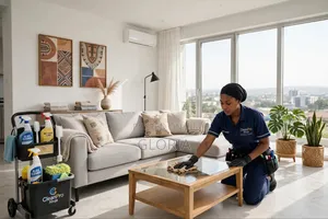 Pink Sparkle Luxury Cleaning: Babban Tsabtace a Abuja