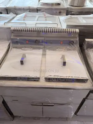 Standing Deep Fryer 20L x 2