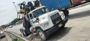 Jirgin Mack UD Mai Ɗaukar Crane da Grapple Na Amfani