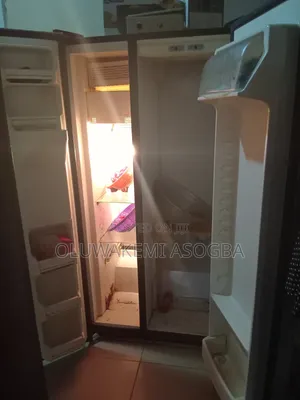 LG Fridge and Freezer