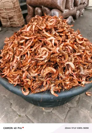 Zara Seafood Hub: Premium Crayfish, Stockfish & Dry Fish