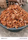 Zara Seafood Hub: Premium Crayfish, Stockfish & Dry Fish - 1