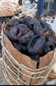 Zara Seafood Hub: Premium Crayfish, Stockfish & Dry Fish - 2
