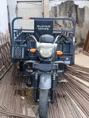 2025 Tricycle - Gray