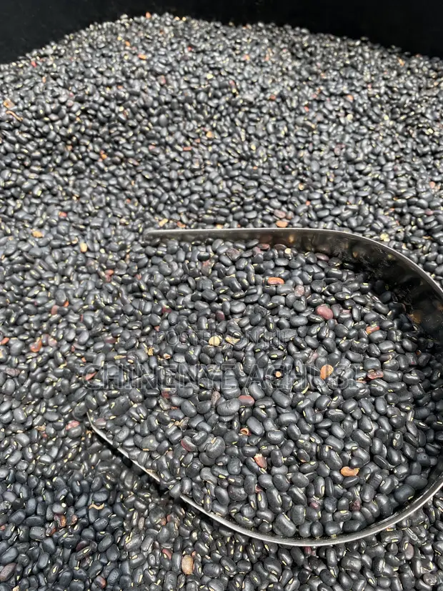 Akidi (Black Beans) - Picked & Cleaned - 1