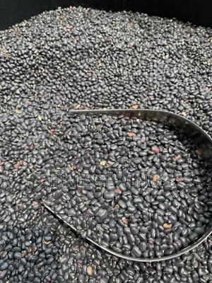 Akidi (Black Beans) - Picked & Cleaned