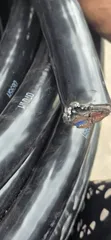 Coleman Cable 50mm x 4 Core - 1