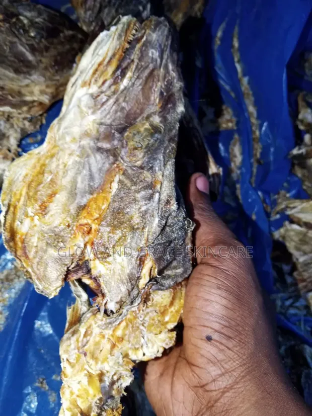 Stock Fish Head - 1
