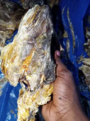 Stock Fish Head