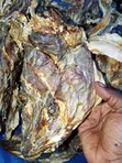 Stock Fish Head - 2