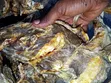 Stock Fish Head - 3