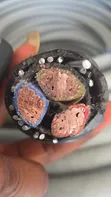 150mm 3-Core Armoured Unic Cable - 1