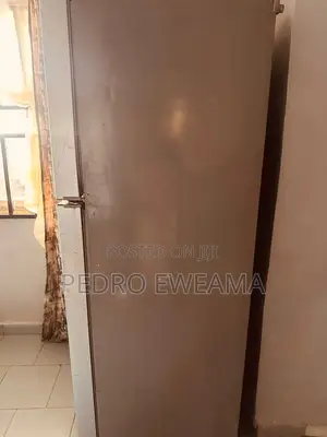 LG Firij Mai Ƙofa Biyu 400L