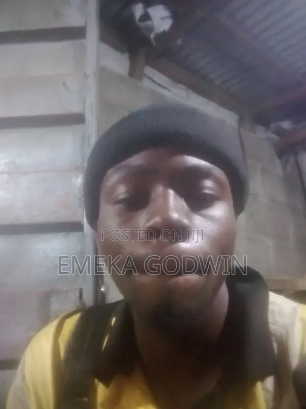 Emeka Godwin - Job Seeker - 1