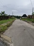 Filin Mallaka (C of O) - 1000sqm, E2 Estate Calabar - 3