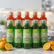 Philzz Dish Washing Soap - 35cl (Pack of 10+) - 2