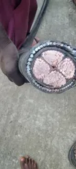 240mm x 4 Core Armoured Cable - Coleman Wire - 2