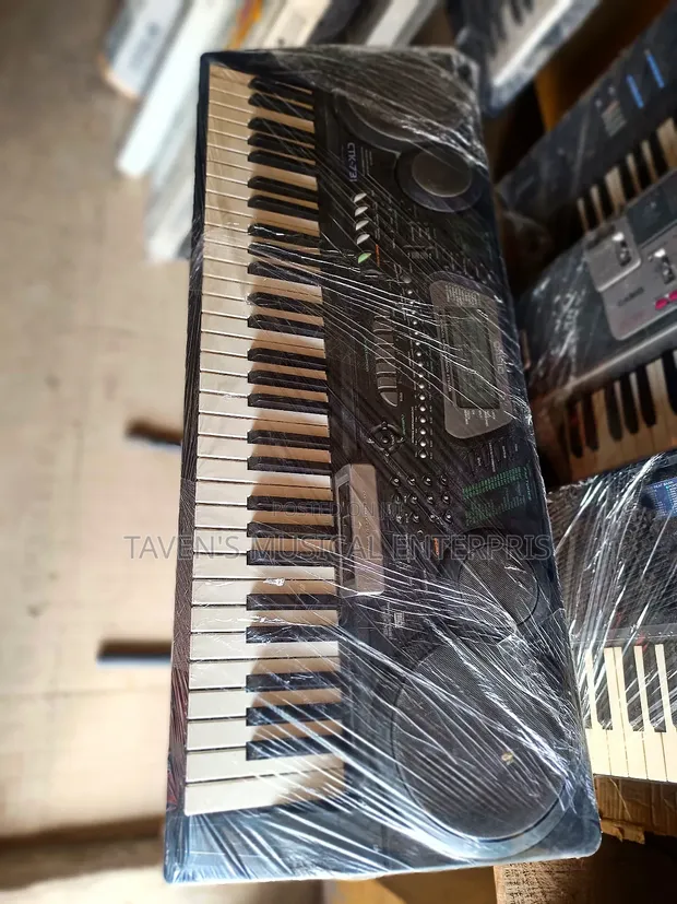 Casio CTK-731 Electronic Keyboard - 1